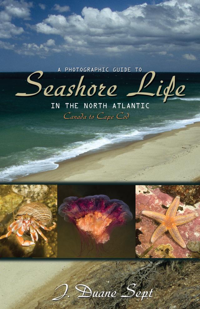 A Photographic Guide to Seashore Life in the North Atlantic by J. Duane Sept