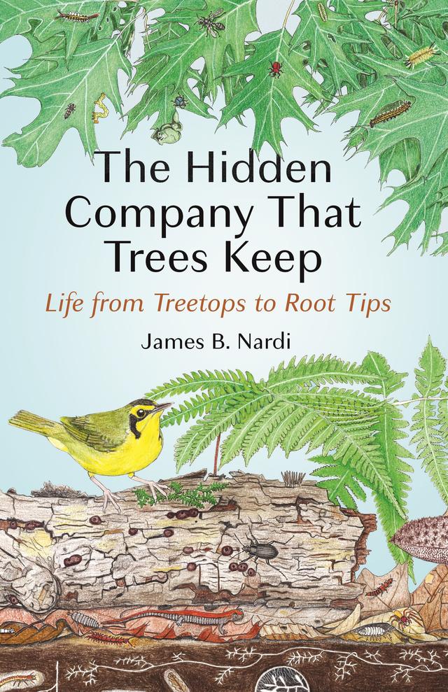 The Hidden Company That Trees Keep by James B. Nardi