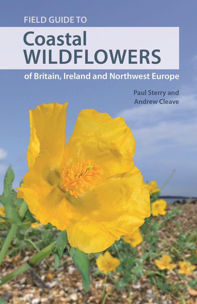 Field Guide to Coastal Wildflowers of Britain, Ireland and Northwest Europe by Andrew Cleave, Paul Sterry