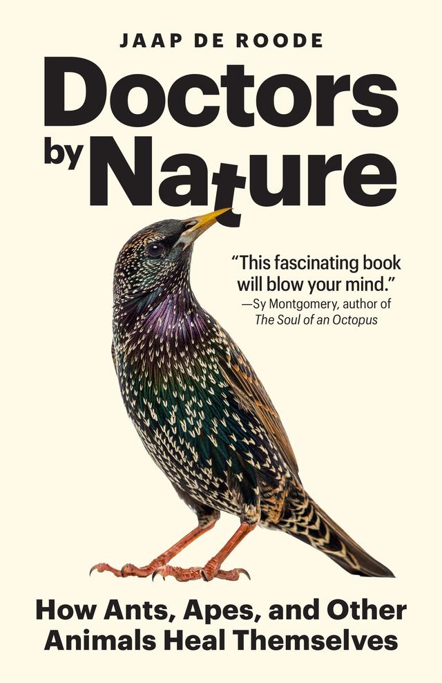 Doctors by Nature by Jaap de Roode
