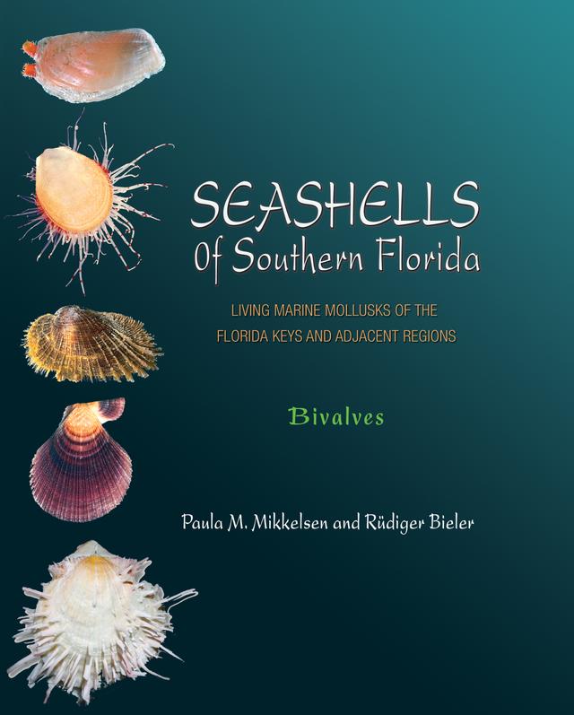 Seashells of Southern Florida by Paula M. Mikkelsen, Rüdiger Bieler