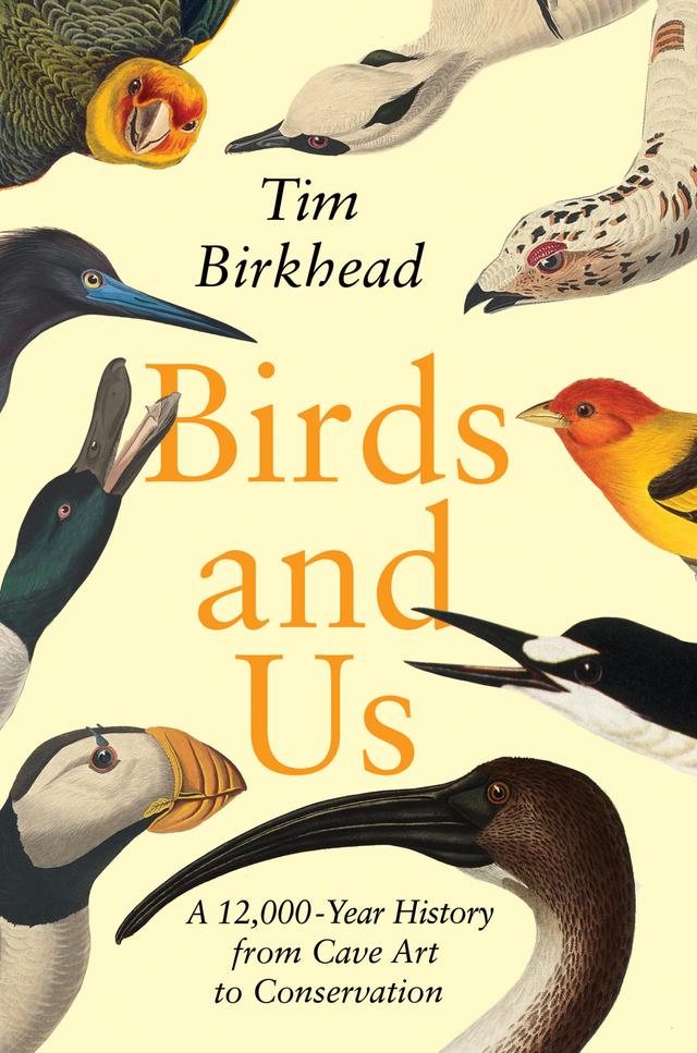 Birds and Us by Tim Birkhead