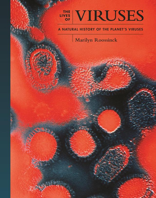 Viruses by Marilyn J. Roossinck