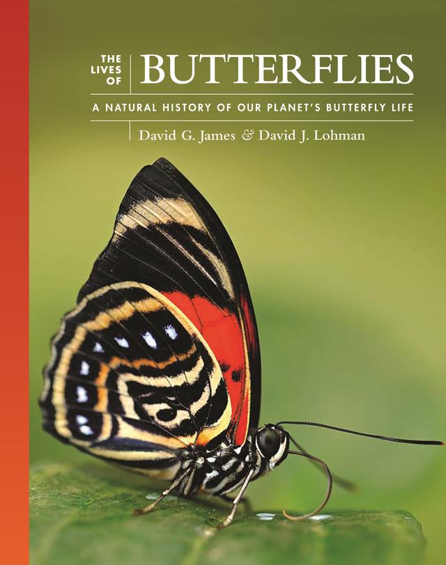 The Lives of Butterflies by David G. James, David J. Lohman