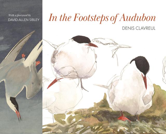 In the Footsteps of Audubon by David Allen Sibley, Denis Clavreul, Martha Le Cars