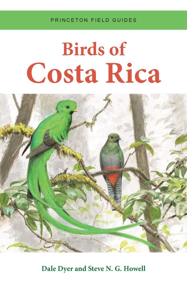 Birds of Costa Rica by Dale Dyer, Steve N. G. Howell