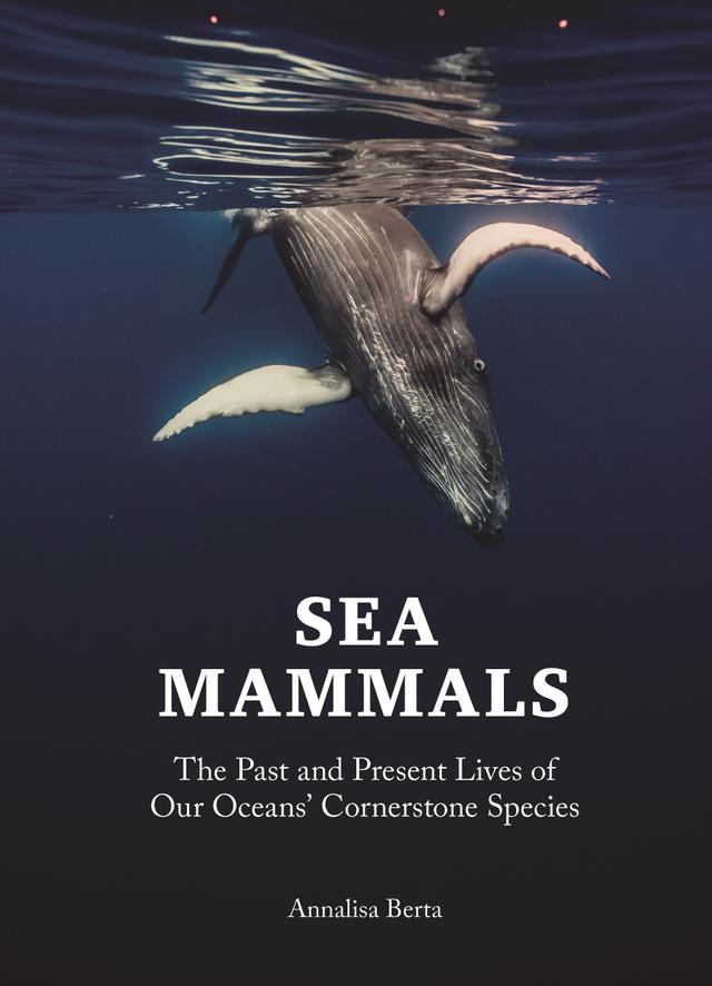 Sea Mammals by Annalisa Berta