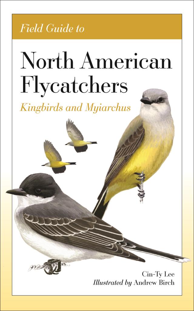 Field Guide to North American Flycatchers by Andrew Birch, Cin-Ty Lee