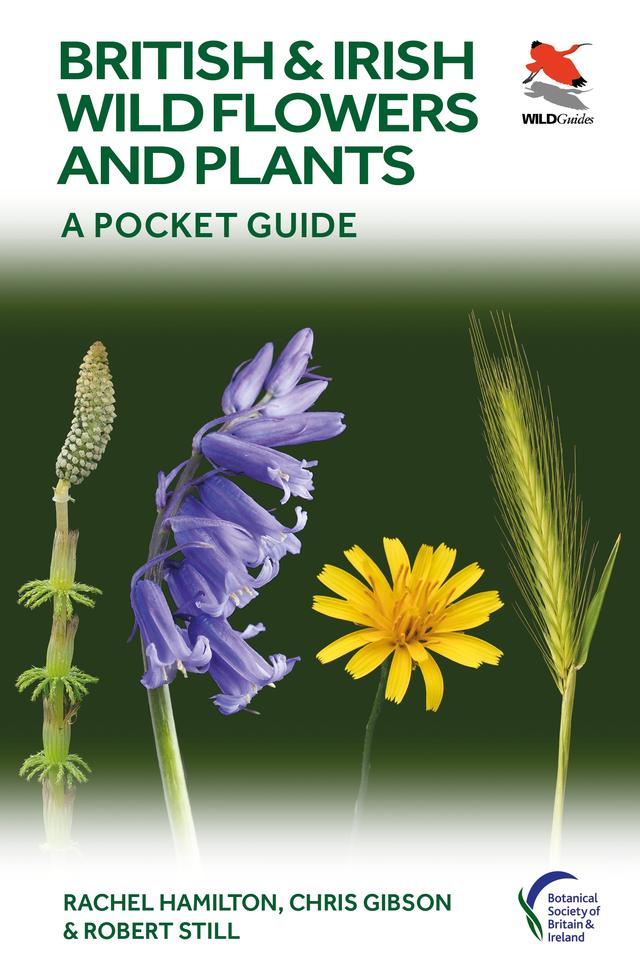 British and Irish Wild Flowers and Plants by Chris Gibson, Rachel Hamilton, Robert Still