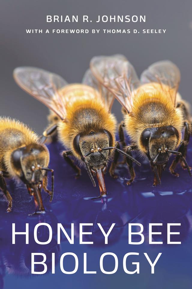 Honey Bee Biology by Brian R. Johnson, Thomas D. Seeley