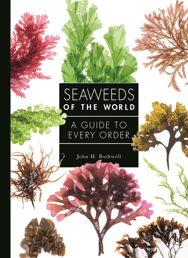 Seaweeds of the World by John Bothwell