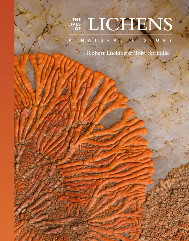 The Lives of Lichens by Robert Lücking, Toby Spribille