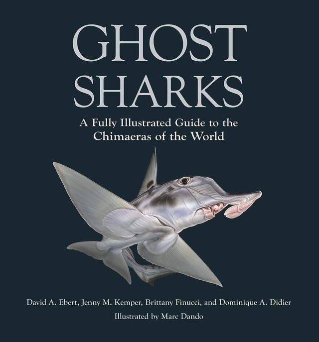 Ghost Sharks by Brittany Finucci, David A. Ebert, Dominique A. Didier, Jenny M. Kemper, Marc Dando
