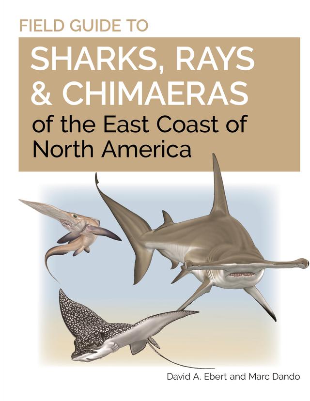 Field Guide to Sharks, Rays and Chimaeras of the East Coast of North America by David A. Ebert, Marc Dando