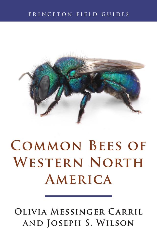 Common Bees of Western North America by Joseph S. Wilson, Olivia Messinger Carril