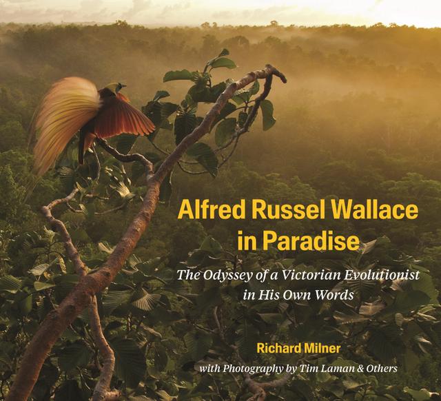 Alfred Russel Wallace in Paradise by Richard Milner