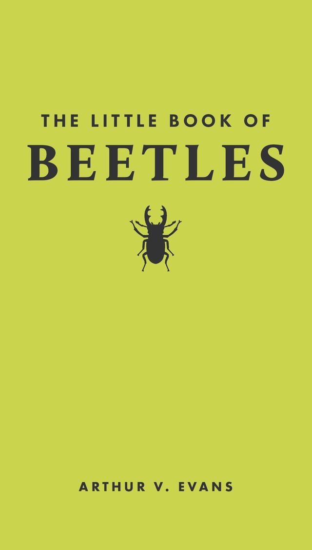 The Little Book of Beetles by Arthur V. Evans, Tugce Okay