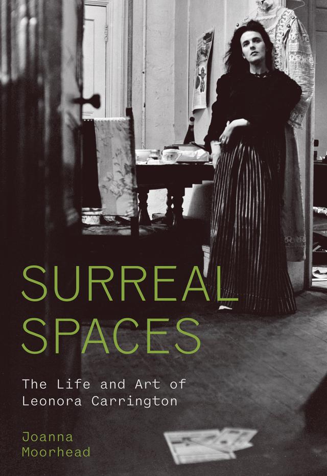 Surreal Spaces by Joanna Moorhead