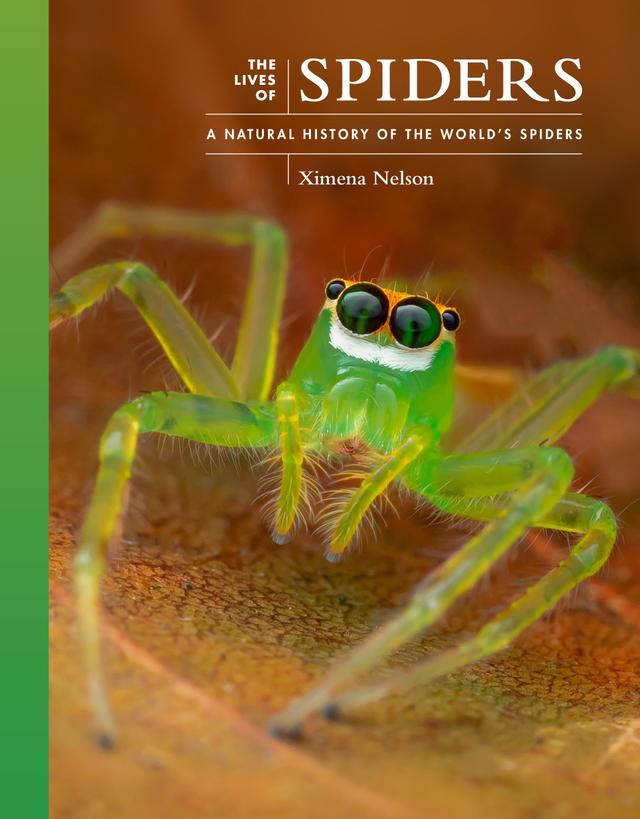 The Lives of Spiders by Ximena Nelson