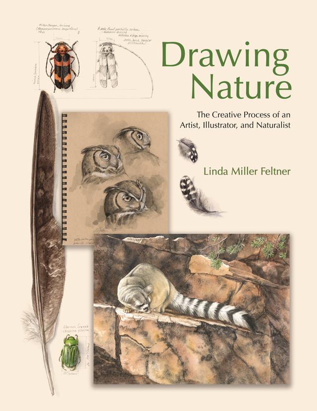 Drawing Nature by Linda Miller Feltner