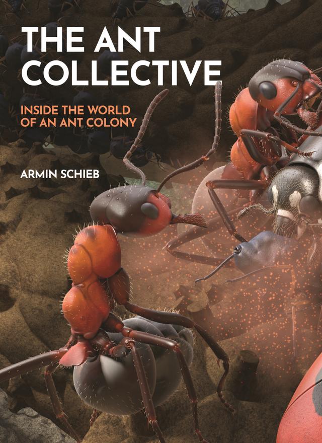 The Ant Collective by Armin Schieb