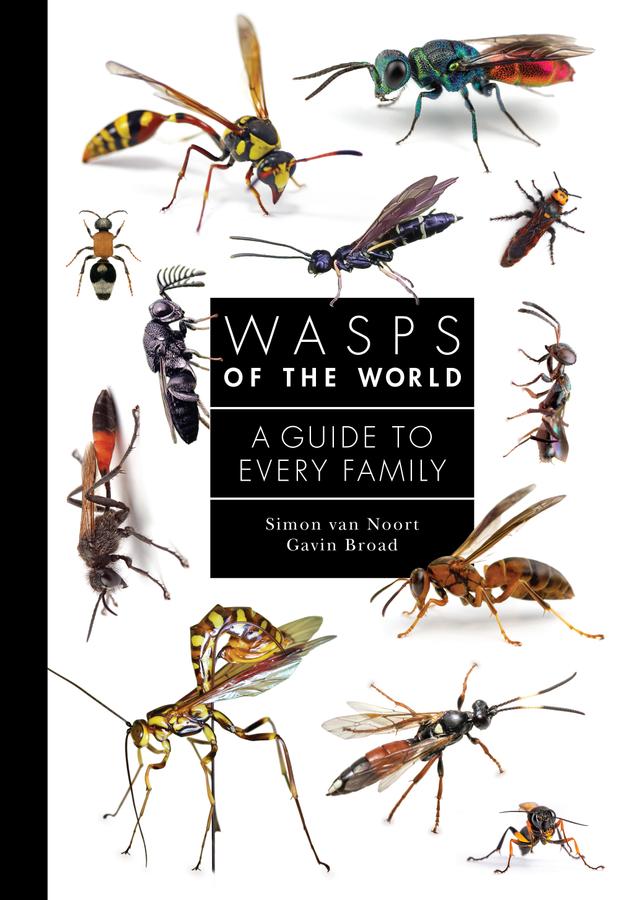 Wasps of the World by Gavin Broad, Simon van Noort