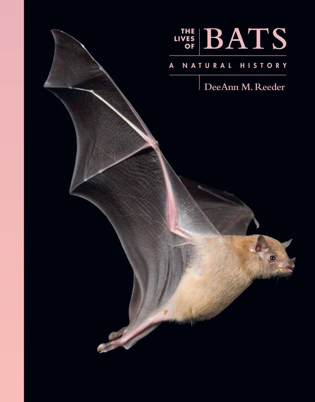 The Lives of Bats by DeeAnn M. Reeder