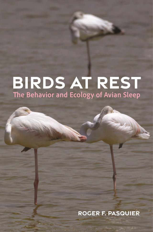 Birds at Rest by Roger Pasquier