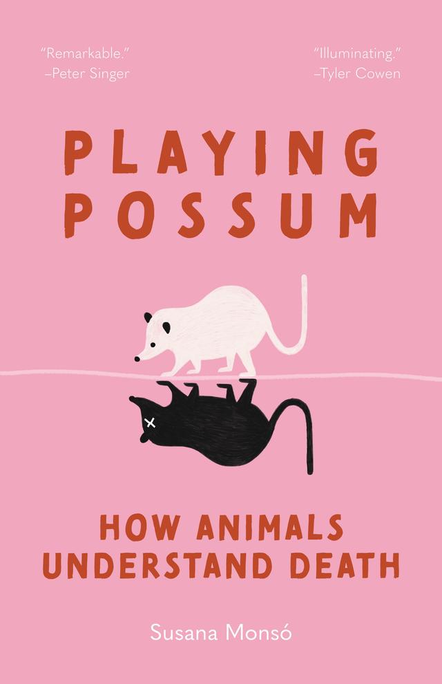 Playing Possum by Susana Monsó