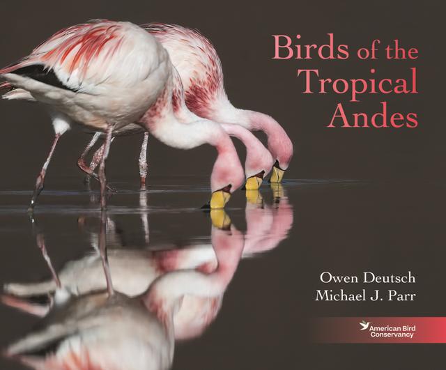 Birds of the Tropical Andes by Alvaro Jaramillo, Constantin Aucca Chutas, Martin Schaeffer, Michael J. Parr, Owen Deutsch, Rodrigo W. Soria Auza, Sara Inés Lara