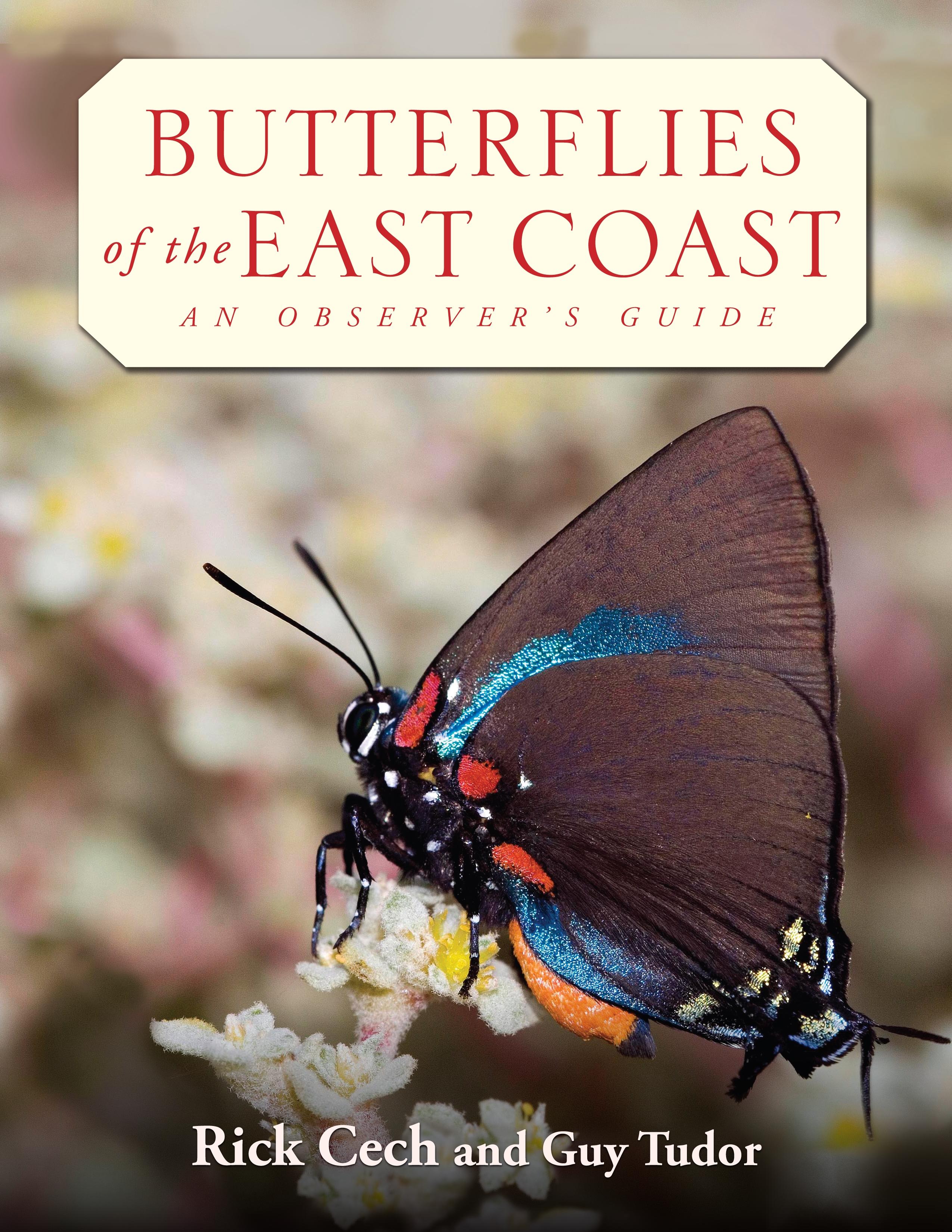 Butterflies of the East Coast