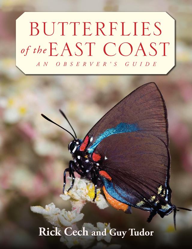 Butterflies of the East Coast by Guy A. Tudor, Richard B. Cech