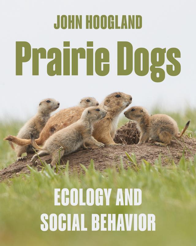 Prairie Dogs by John Hoogland