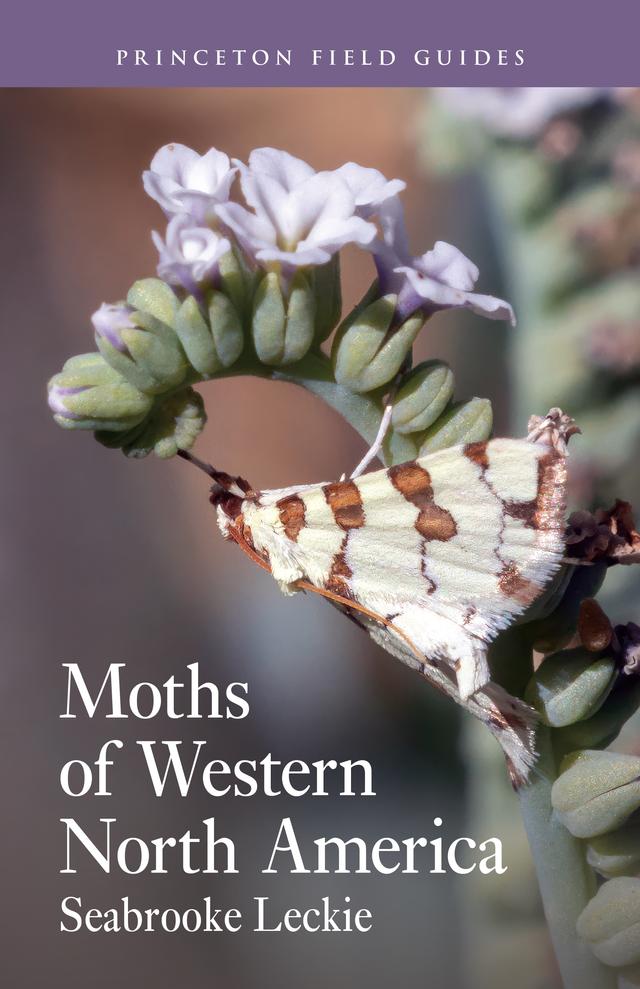 Moths of Western North America by Seabrooke Leckie