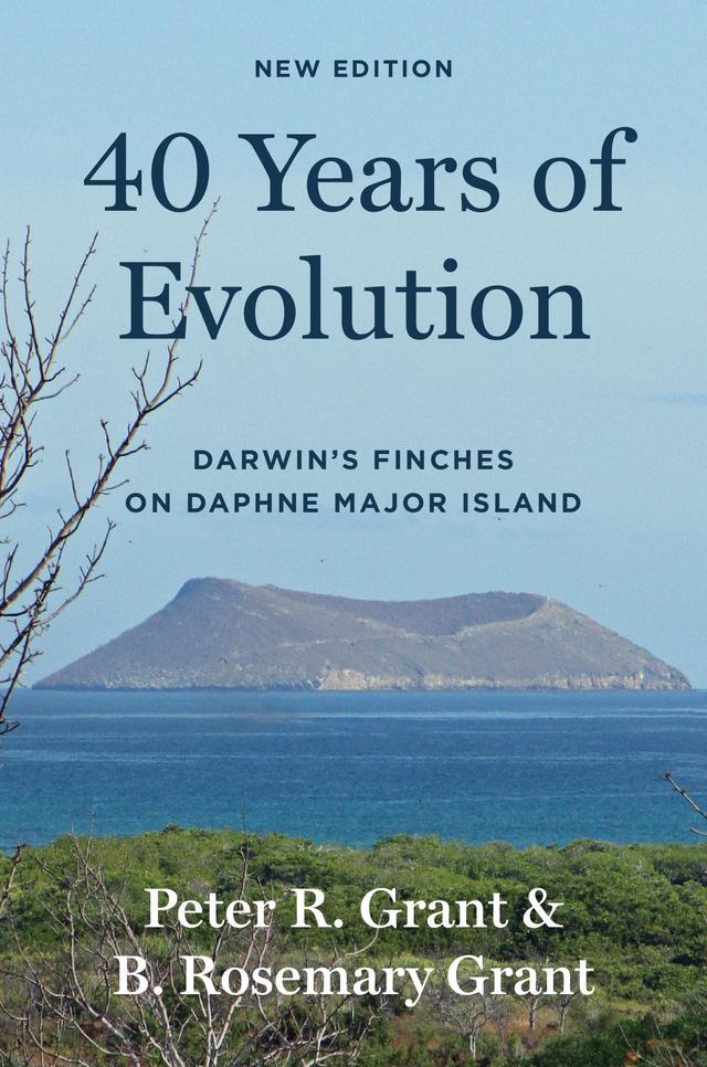 40 Years of Evolution by B. Rosemary Grant, Peter R. Grant