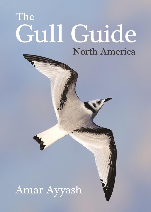 The Gull Guide by Amar Ayyash