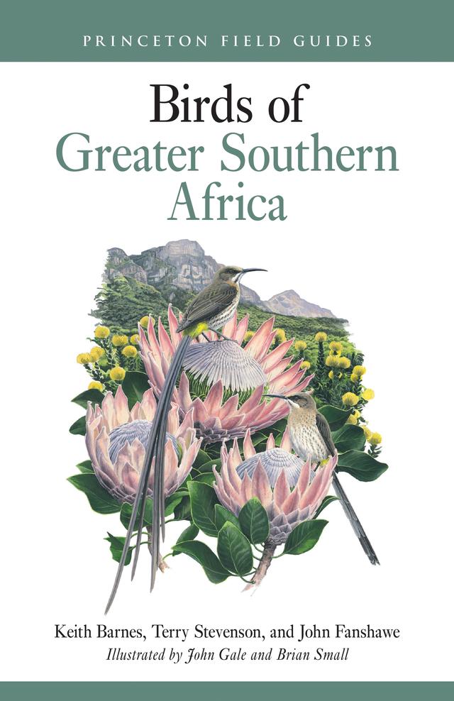 Birds of Greater Southern Africa by Brian E. Small, Faansie Peacock, John Fanshawe, John Gale, Keith Barnes, Terry Stevenson