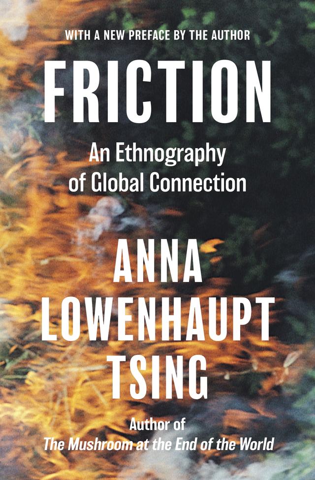 Friction by Anna Lowenhaupt Tsing