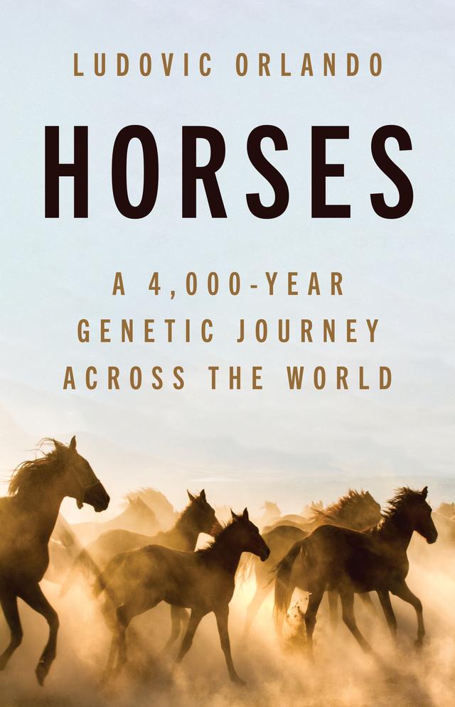 Horses by Ludovic Orlando, Teresa Lavender Fagan