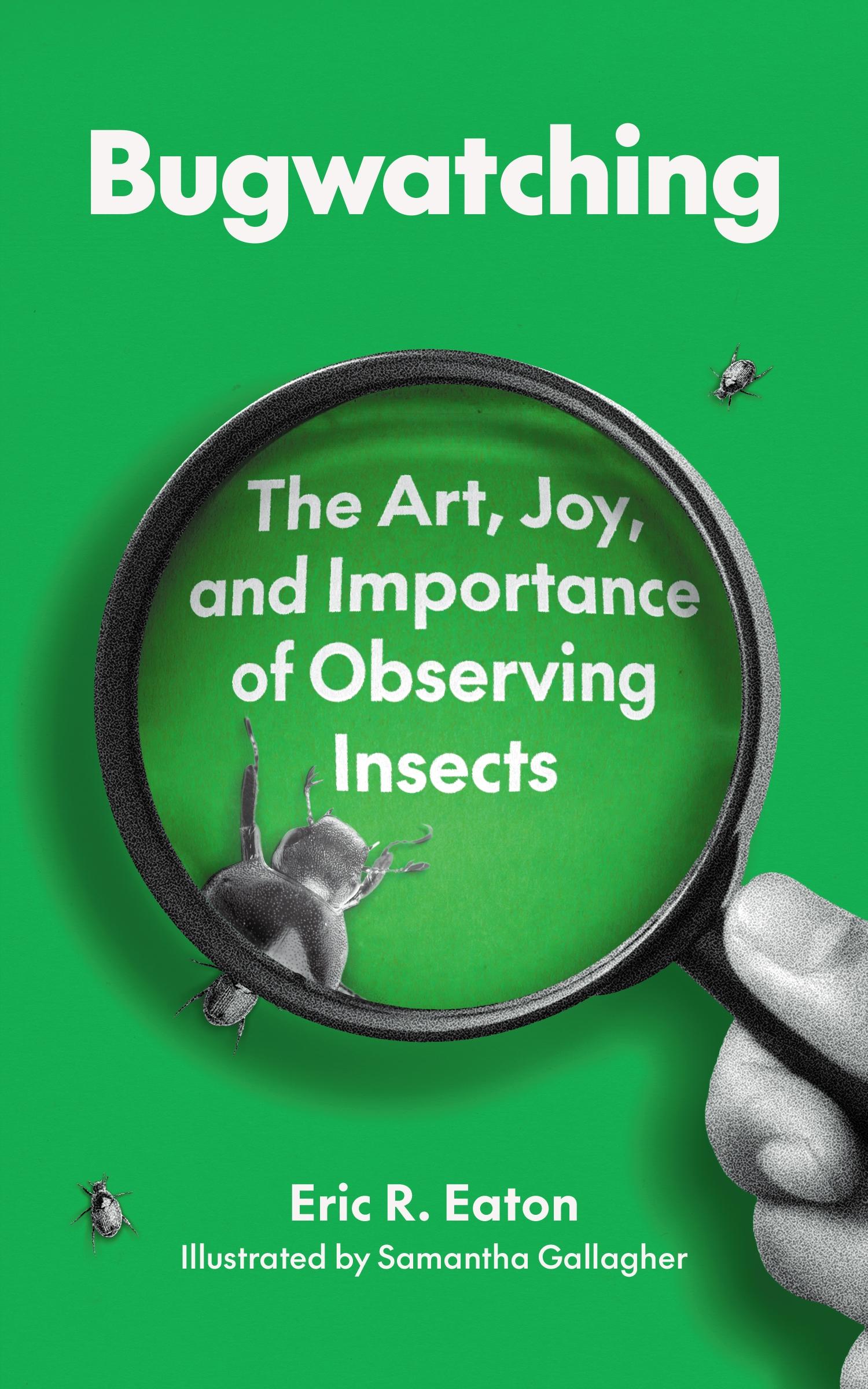 Bugwatching