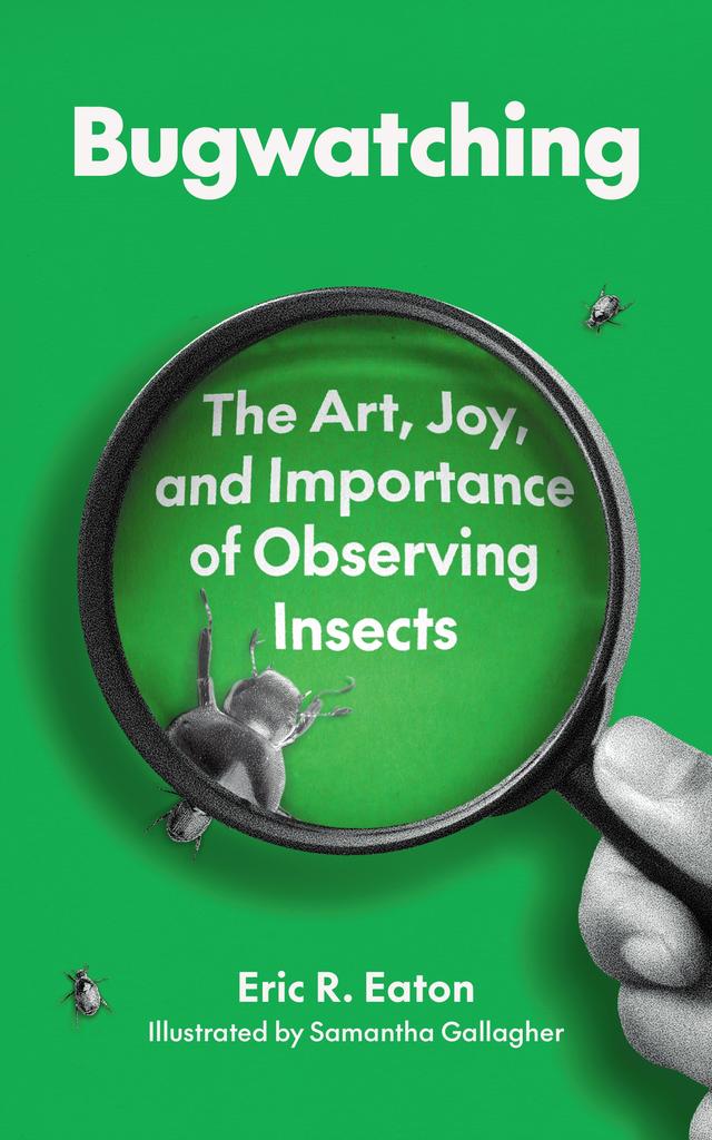 Bugwatching by Eric R. Eaton, Samantha Gallagher