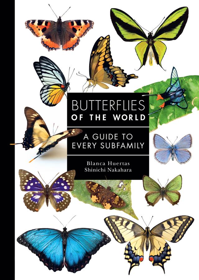 Butterflies of the World by Blanca Huertas, Shinichi Nakahara