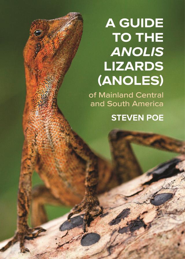 A Guide to the Anolis Lizards (Anoles) of Mainland Central and South America by Kevin de Queiroz, Steven Poe