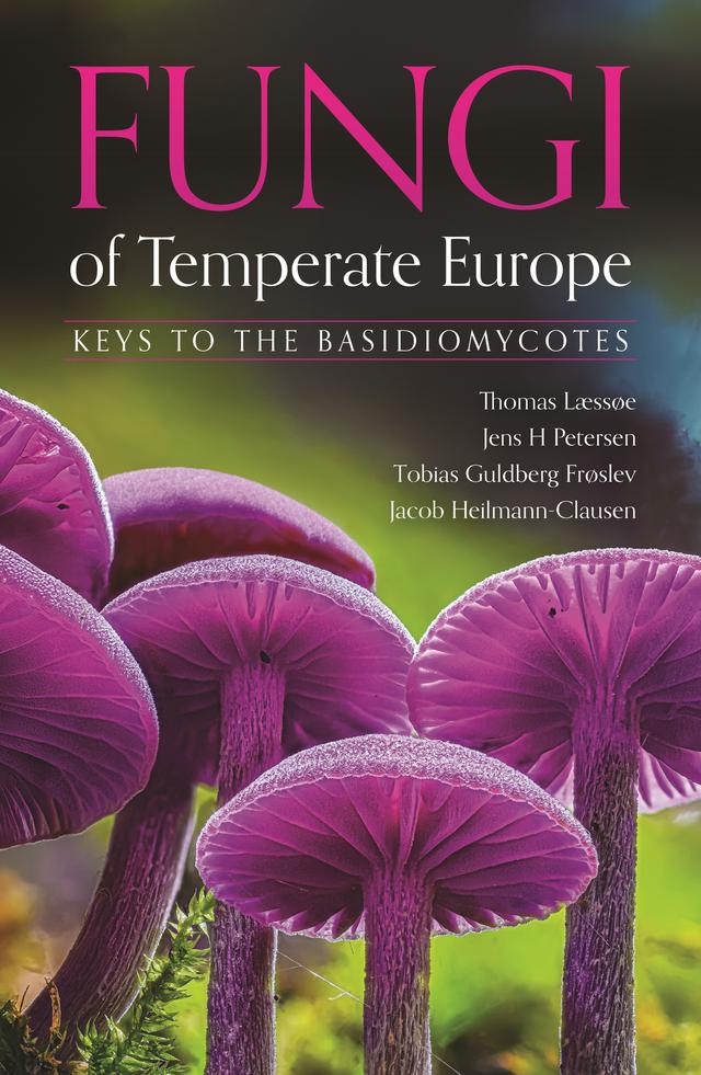 Fungi of Temperate Europe by Jacob Heilmann-Clausen, Jens H. Petersen, Thomas Læssøe, Tobias Guldberg Frøslev