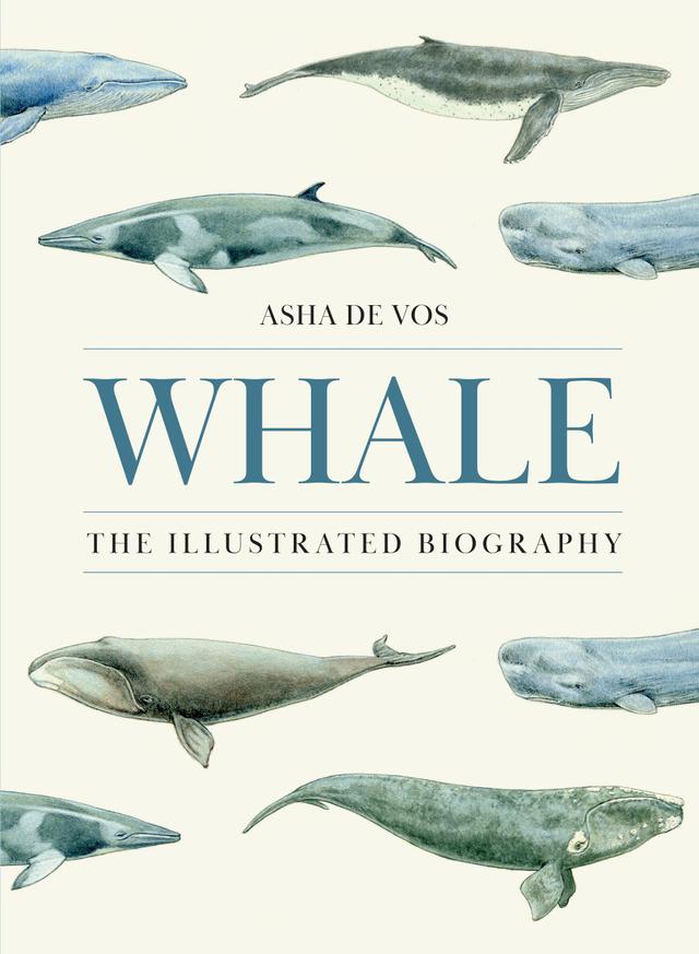 Whale by Adam Hook, Asha de Vos