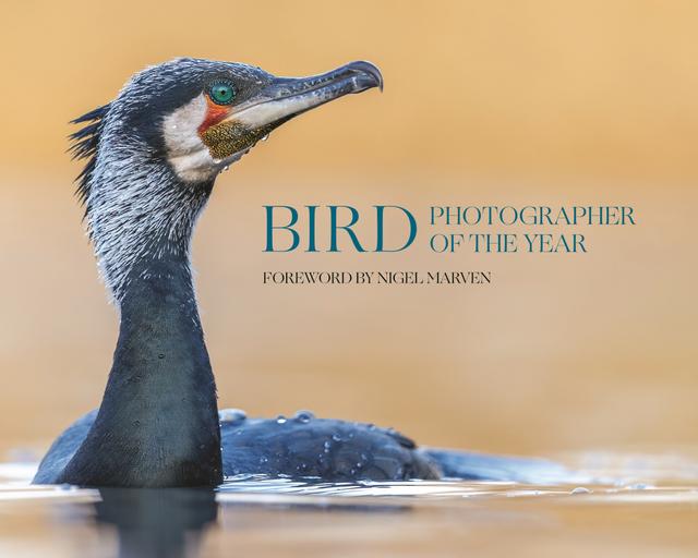 Bird Photographer of the Year by 