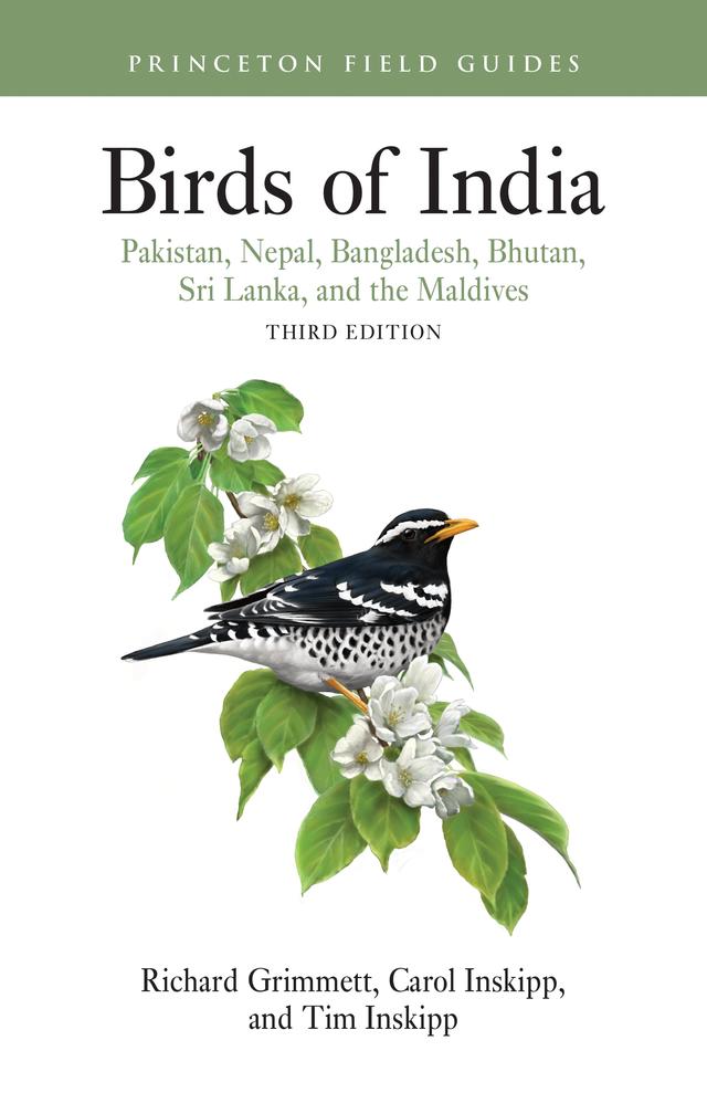 Birds of India by Carol Inskipp, Richard Grimmett, Tim Inskipp