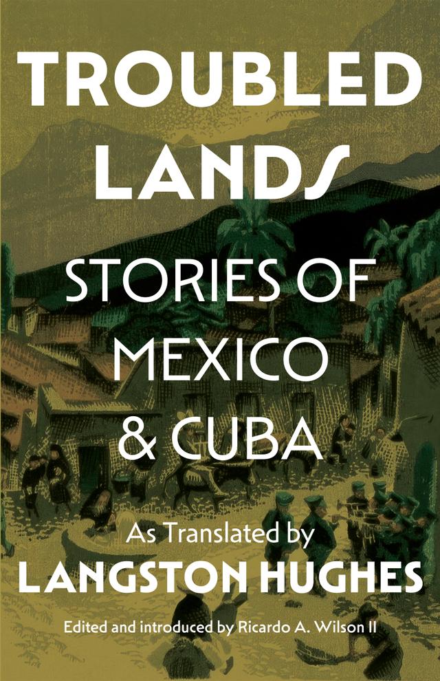 Troubled Lands by Ricardo Wilson
