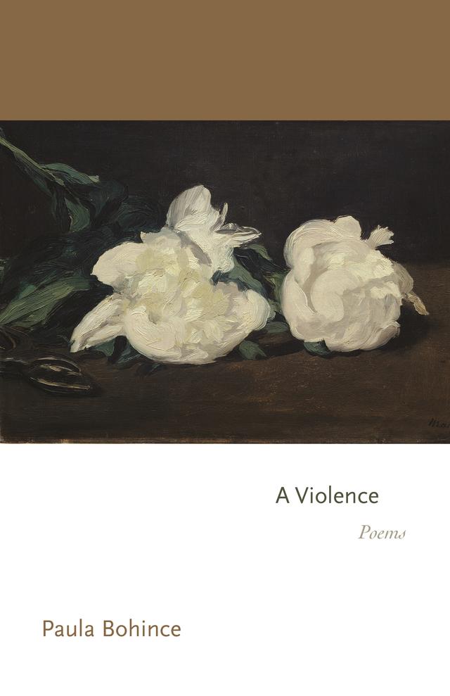 A Violence by Paula Bohince