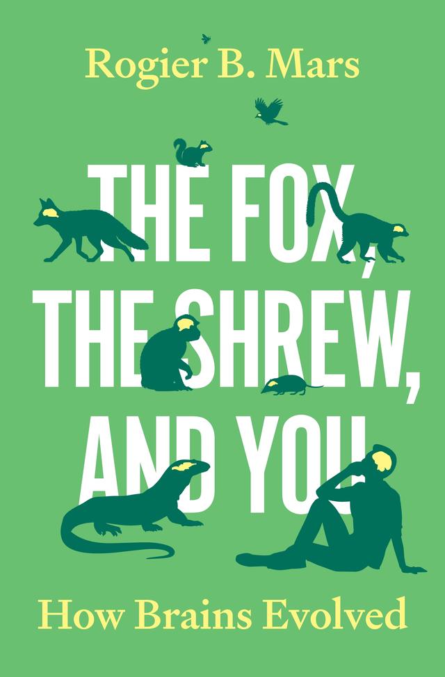 The Fox, the Shrew, and You by Rogier Mars